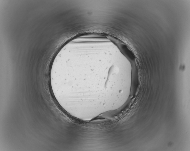 X0000096420673200802211124