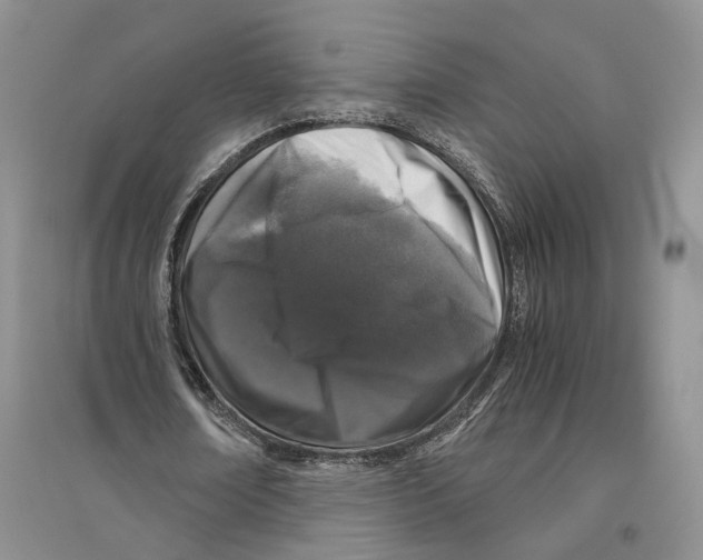 X0000096420674200802211124