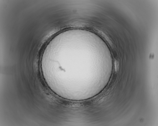 X0000096420675200802211124