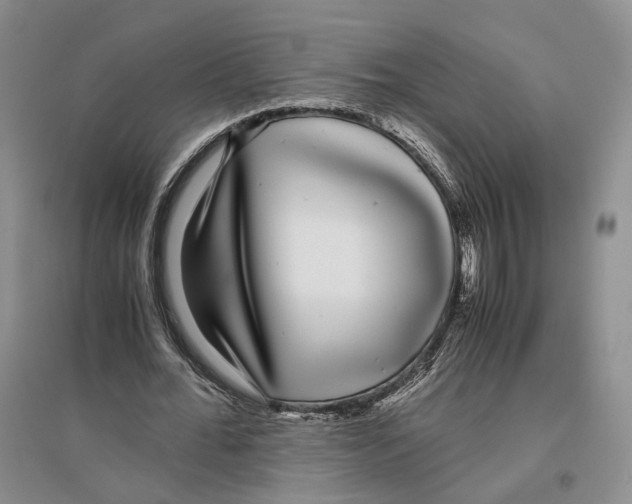 X0000096420676200802211124