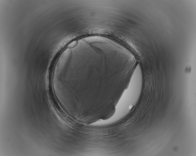 X0000096420678200802211124
