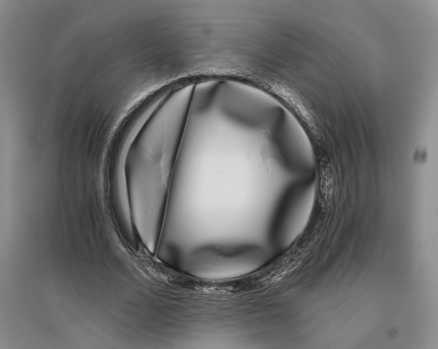 X0000096420680200802211124