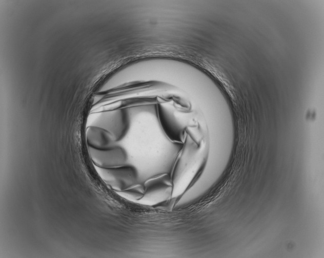 X0000096420681200802211124