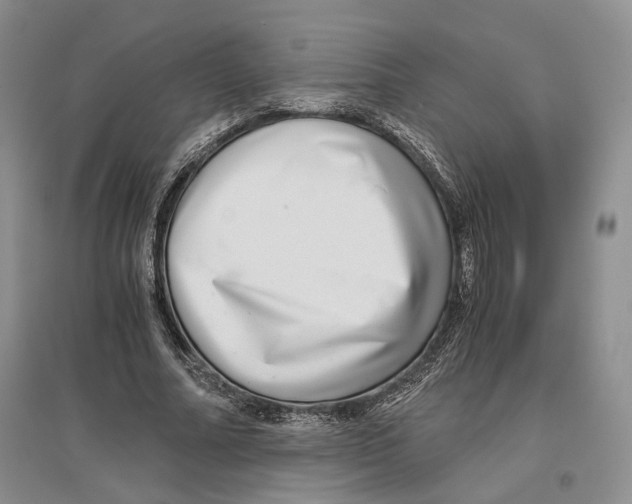 X0000096420682200802211124