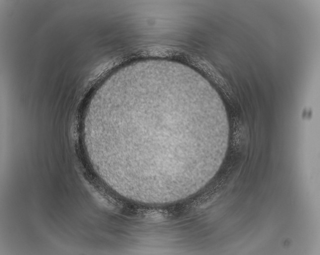 X0000096420683200802211124