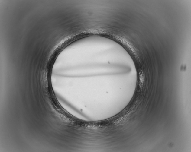 X0000096420684200802211124