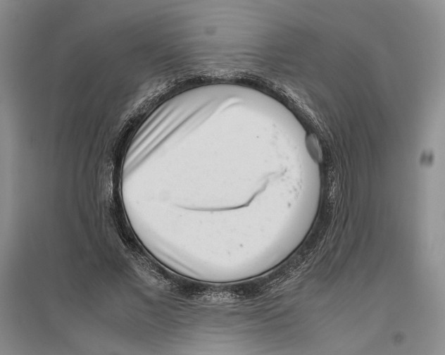 X0000096420685200802211124