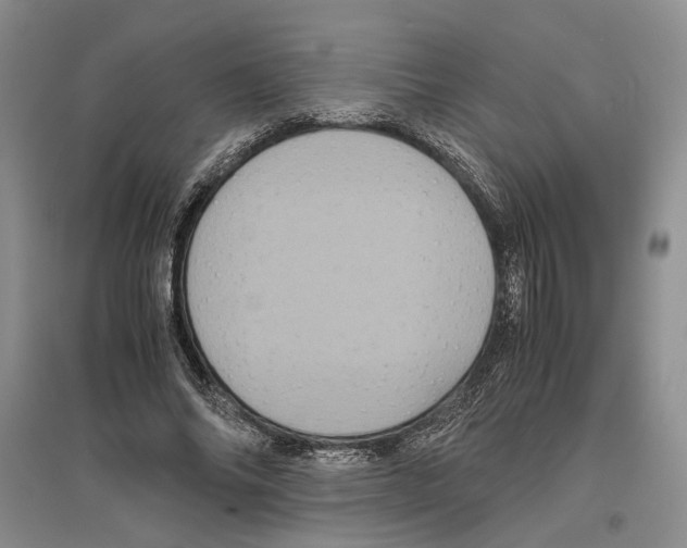 X0000096420686200802211124