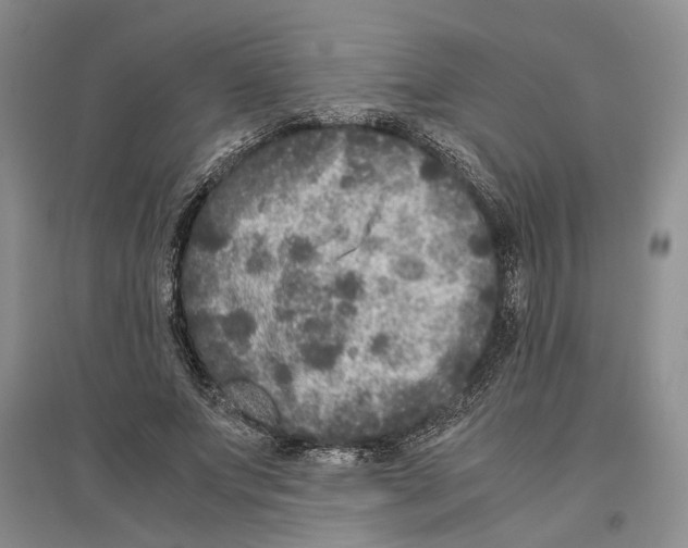 X0000096420687200802211124