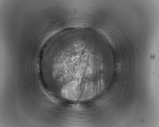 X0000096420688200802211124