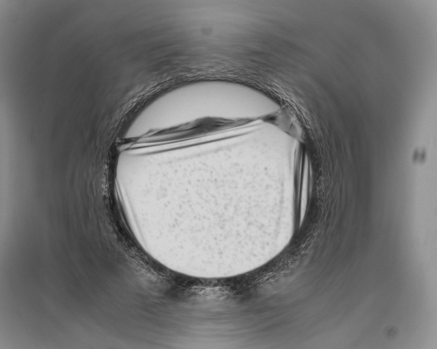 X0000096420689200802211124