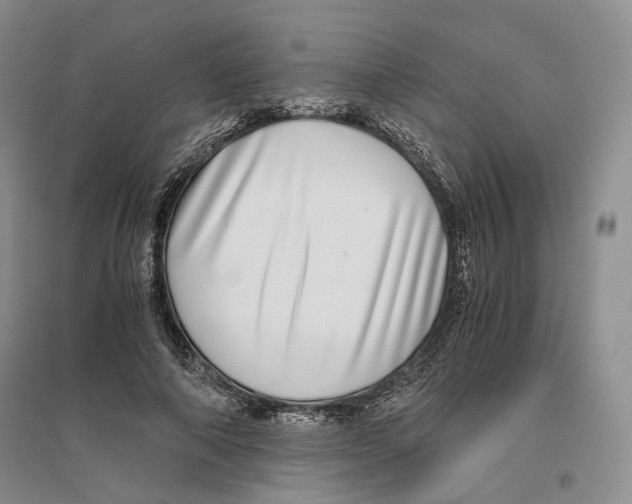 X0000096420690200802211124