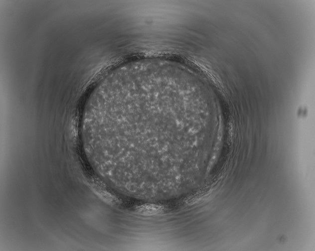 X0000096420691200802211124