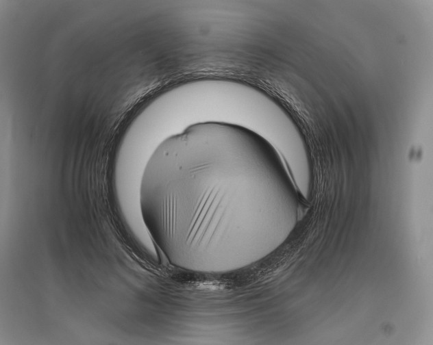 X0000096420692200802211124