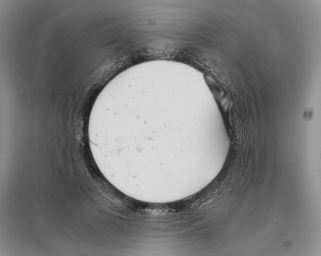 X0000096420693200802211124