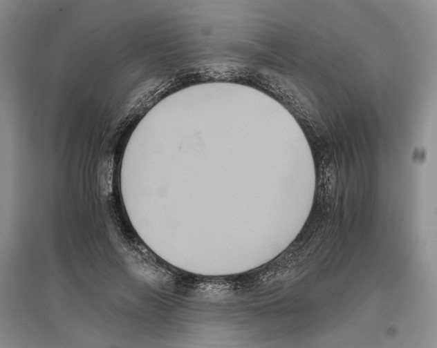 X0000096420694200802211124