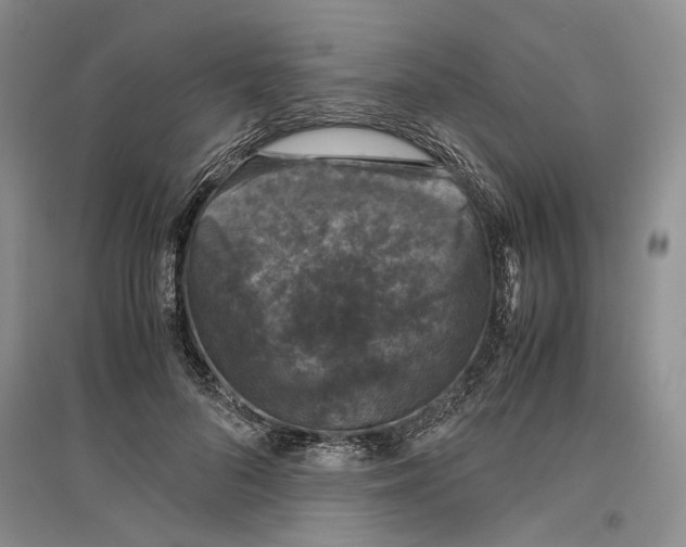 X0000096420696200802211124