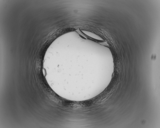 X0000096420697200802211124