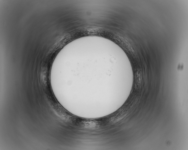 X0000096420698200802211124