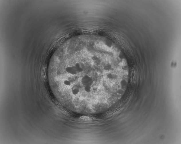 X0000096420699200802211124