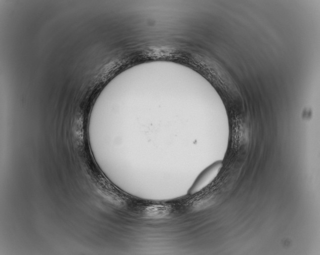 X0000096420700200802211124