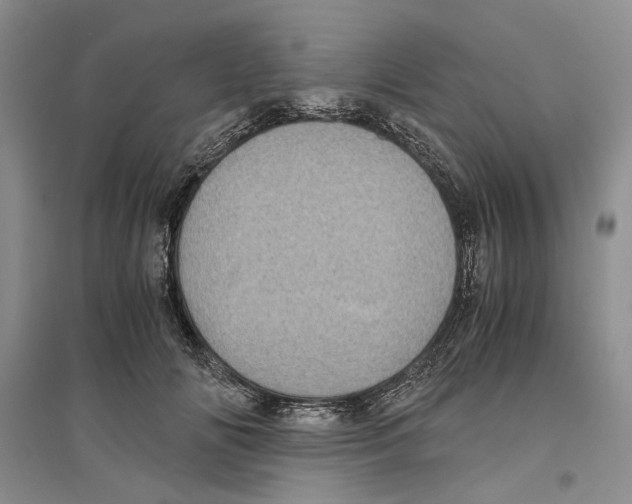 X0000096420702200802211124