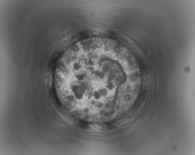 X0000096420703200802211124