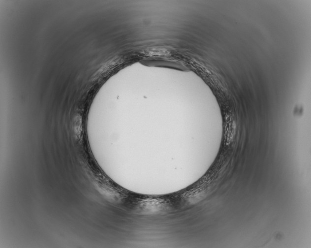 X0000096420704200802211124