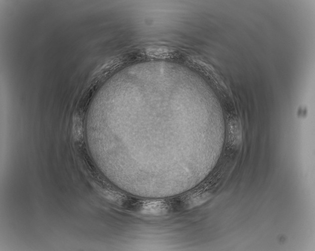 X0000096420705200802211124