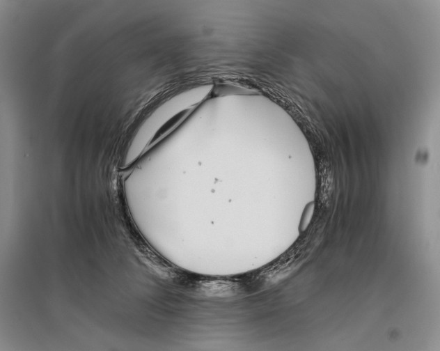 X0000096420708200802211124