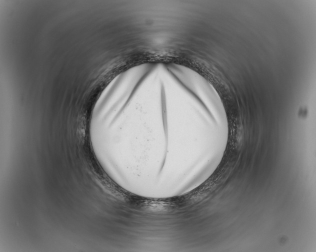 X0000096420710200802211123