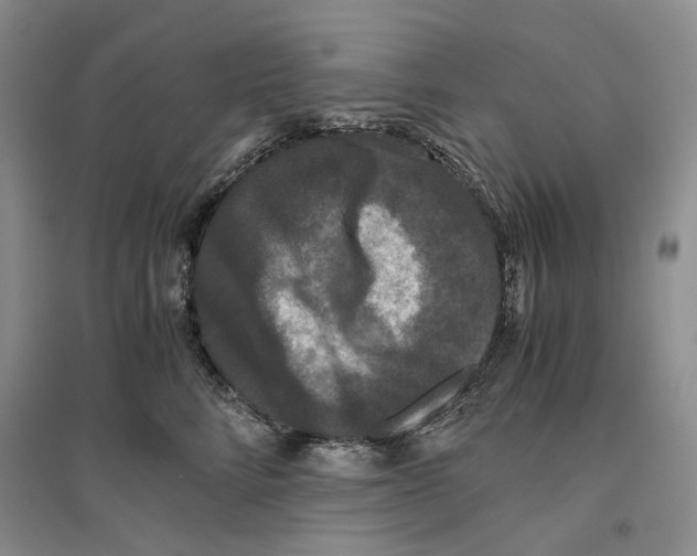 X0000096420712200802211123