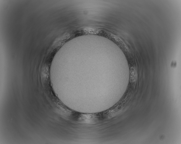 X0000096420713200802211123