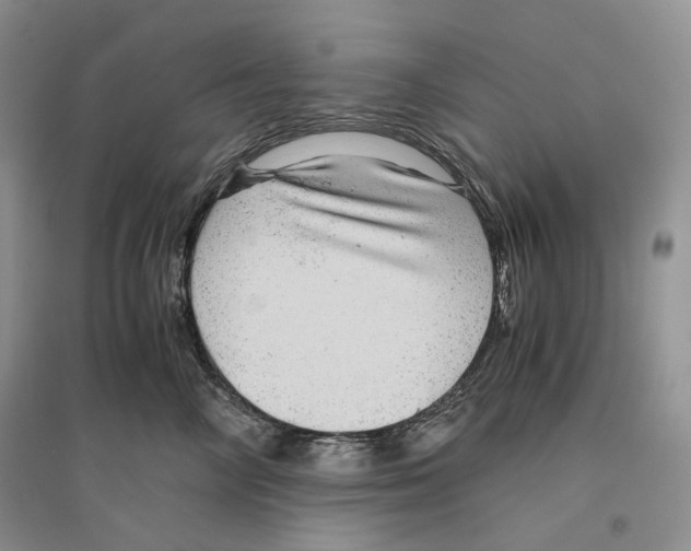 X0000096420714200802211123