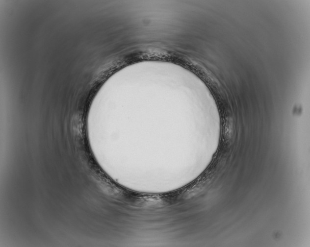 X0000096420715200802211123