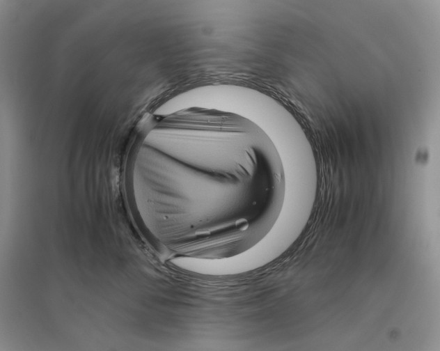 X0000096420716200802211123