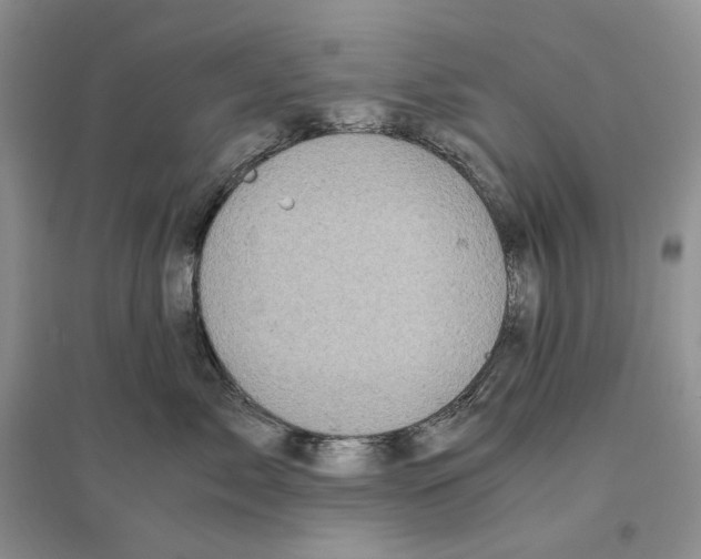 X0000096420717200802211123