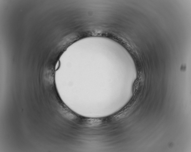 X0000096420719200802211123