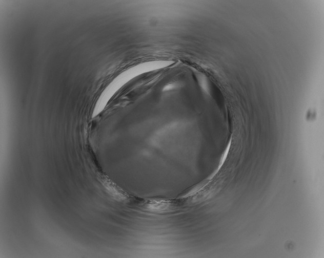 X0000096420720200802211123