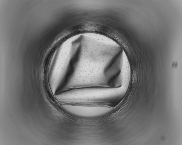 X0000096420722200802211123