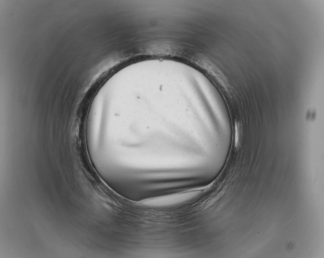 X0000096420723200802211123