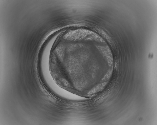 X0000096420724200802211123