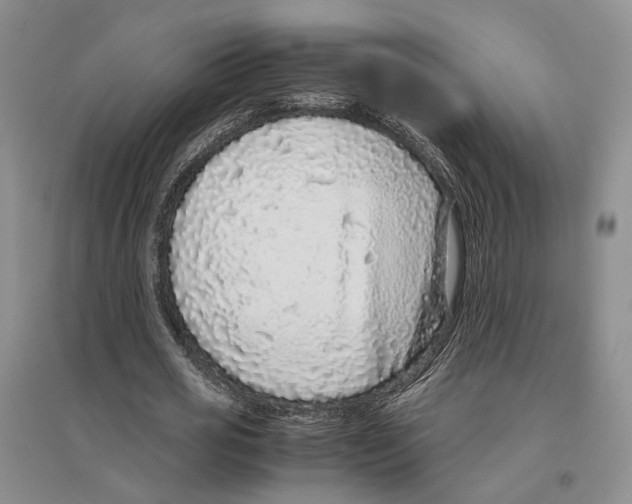 X0000096420725200802211123