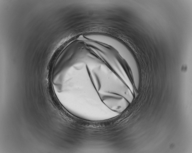 X0000096420727200802211123