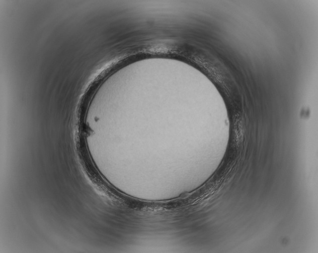 X0000096420728200802211123