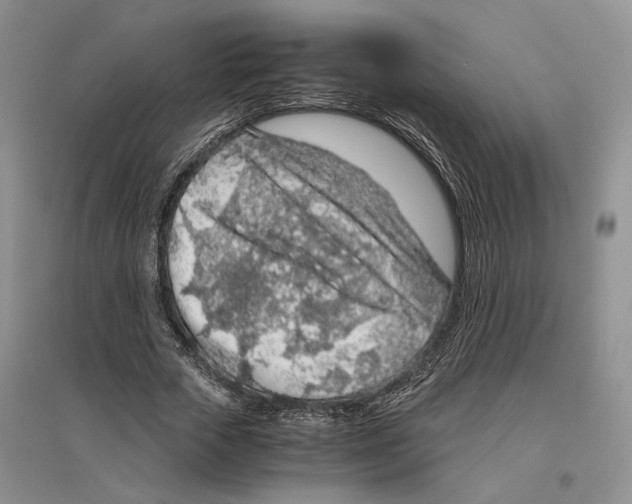 X0000096420729200802211123