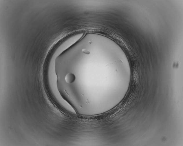 X0000096420730200802211123