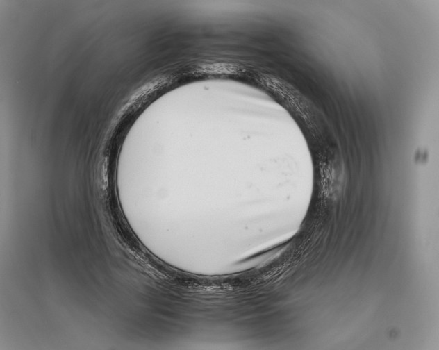 X0000096420731200802211123