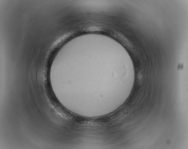 X0000096420732200802211123