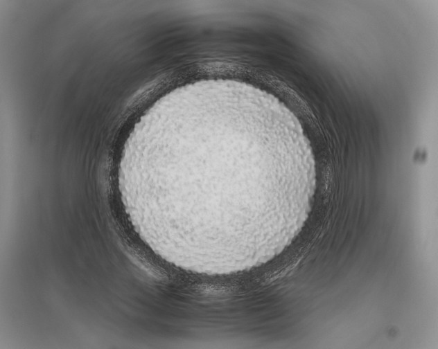 X0000096420733200802211123